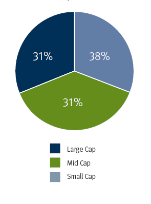 Pie chart showing Market Cap Distribution: Large Cap-31%, Mid Cap-38%,  Small Cap-31%